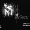 Nderu the Zebra