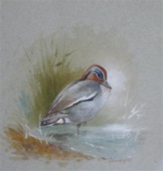 a painting of a duck | The Dacorum Heritage Trust